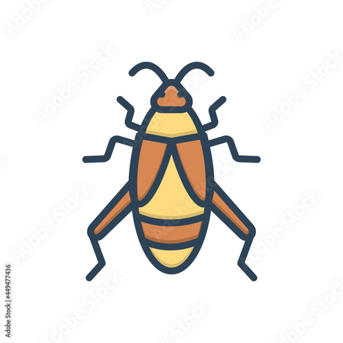 Color illustration icon for cricket