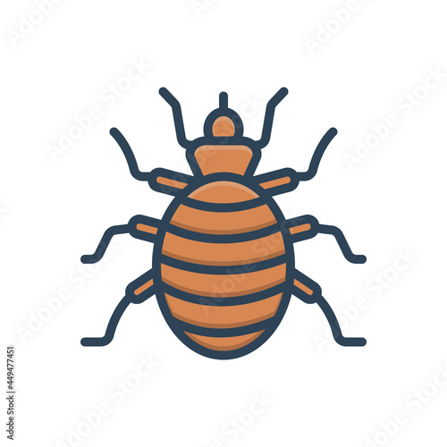Color illustration icon for flea