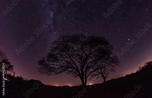 night sky with stars