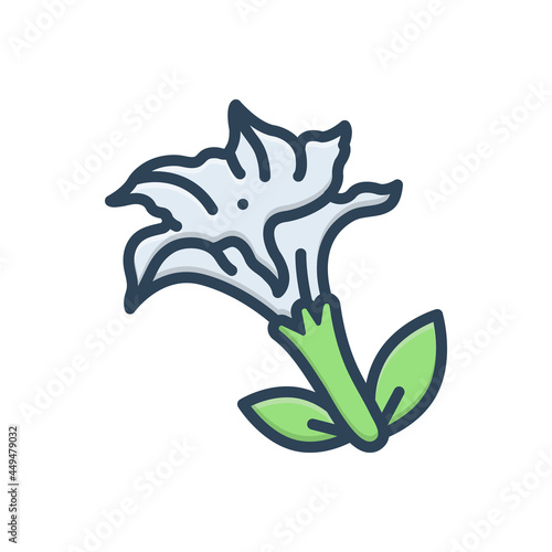 Color illustration icon for datura stramonium