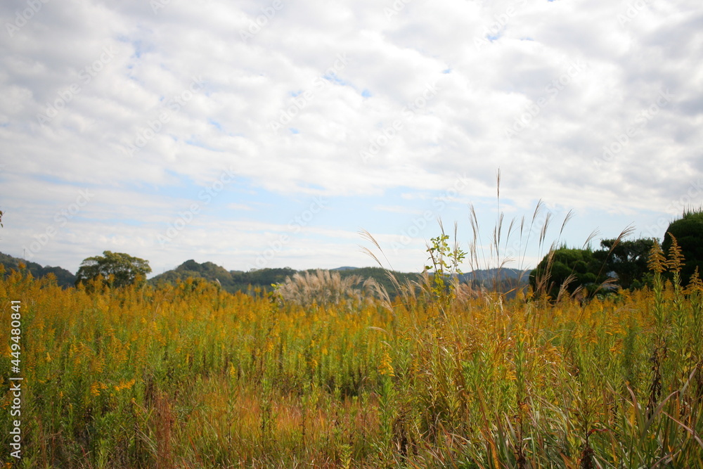 日本の田舎の懐かしい風景 日本の田舎の懐かしい風景