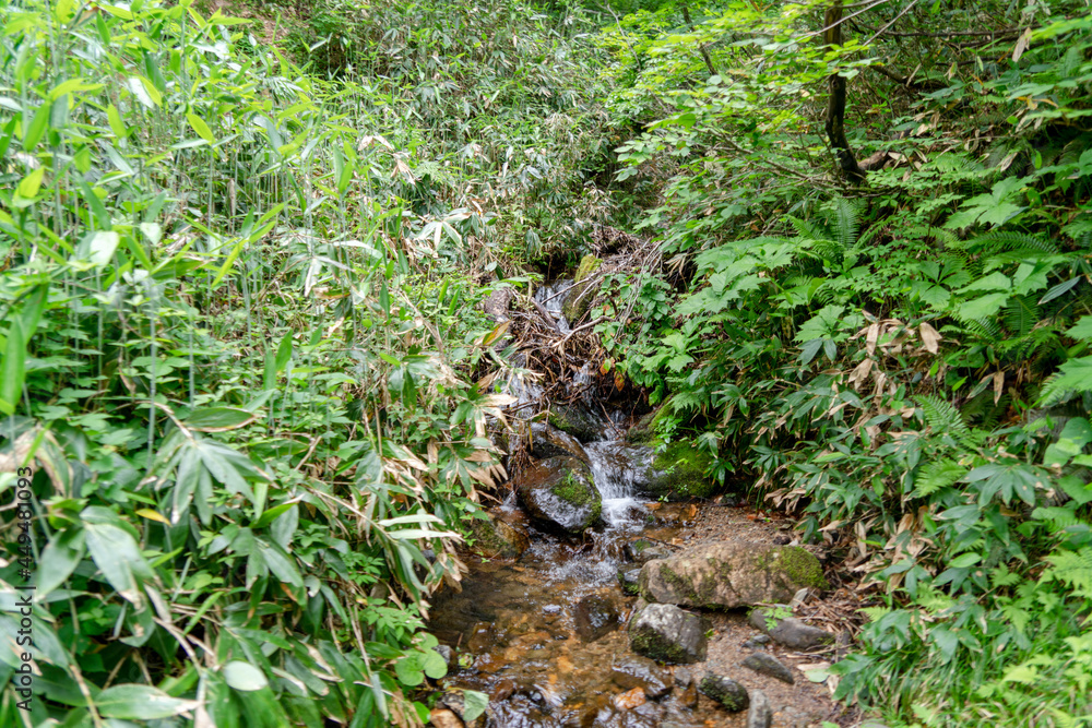 福島県、新潟県、群馬県にある尾瀬ヶ原をハイキングしている風景 Scenery of hiking in Ose-ga-hara in Fukushima, Niigata and Gunma prefectures. 福島県、新潟県、群馬県にある尾瀬ヶ原をハイキングしている風景 Scenery of hiking in Ose-ga-hara in Fukushima, Niigata and Gunma prefectures.