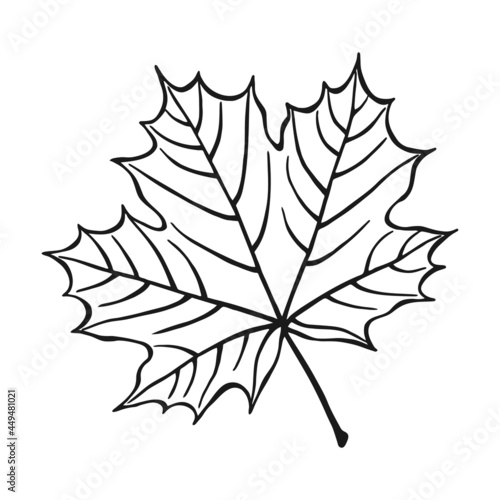 Hand drawn maple leaf outline. Maple leaf in line art style isolated on white background.