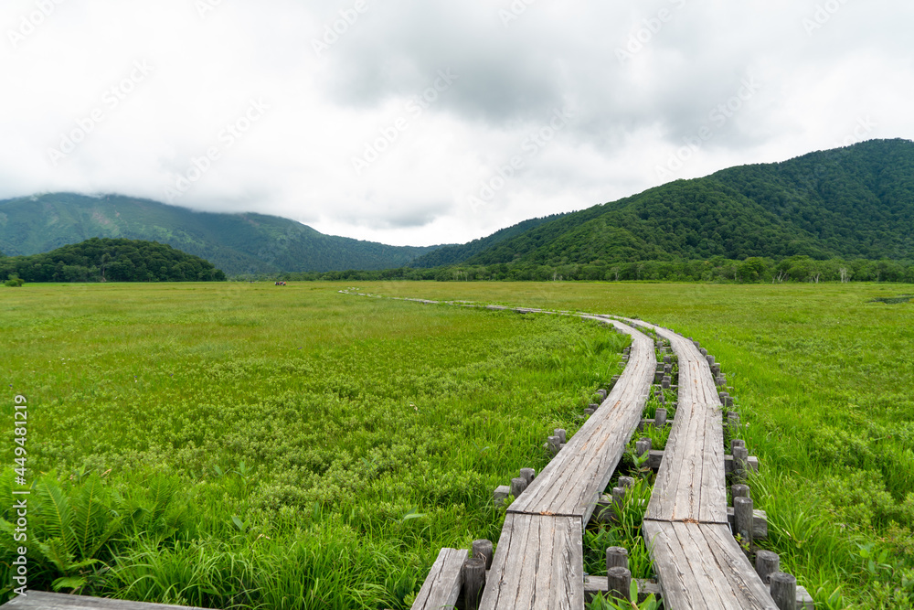 福島県、新潟県、群馬県にある尾瀬ヶ原をハイキングしている風景 Scenery of hiking in Ose-ga-hara in Fukushima, Niigata and Gunma prefectures. 福島県、新潟県、群馬県にある尾瀬ヶ原をハイキングしている風景 Scenery of hiking in Ose-ga-hara in Fukushima, Niigata and Gunma prefectures.