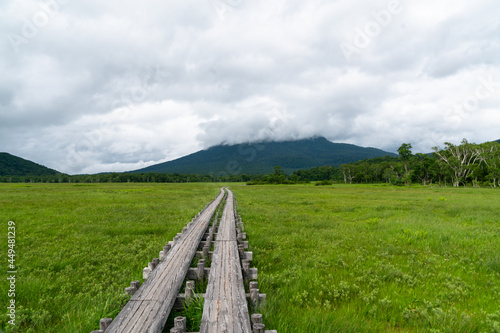                                                                                            Scenery of hiking in Ose-ga-hara in Fukushima  Niigata and Gunma prefectures.