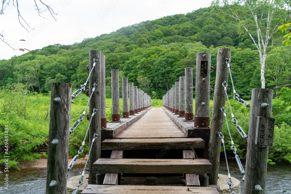福島県、新潟県、群馬県にある尾瀬ヶ原をハイキングしている風景 Scenery of hiking in Ose-ga-hara in Fukushima, Niigata and Gunma prefectures.