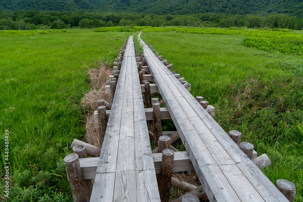 福島県、新潟県、群馬県にある尾瀬ヶ原をハイキングしている風景 Scenery of hiking in Ose-ga-hara in Fukushima, Niigata and Gunma prefectures.