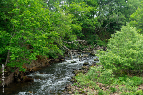 福島県、新潟県、群馬県にある尾瀬ヶ原をハイキングしている風景 Scenery of hiking in Ose-ga-hara in Fukushima, Niigata and Gunma prefectures.