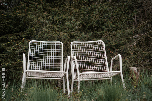 two chairs in the garden