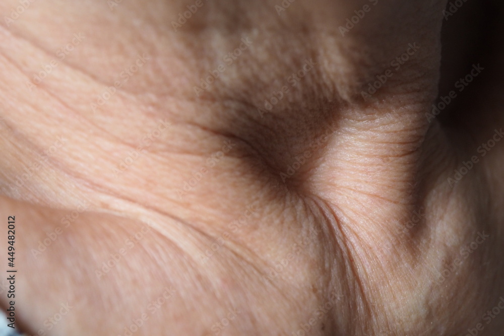 Closeup of wrinkles in woman neck skin in deep layers Skin repair and treatment concept for elderly and aged people. Healthcare medical and aesthetic concept