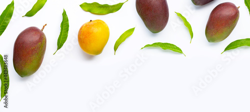 Mango  Tropical fruit with leaves on white background.