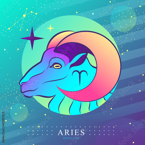 Modern magic witchcraft card with astrology Aries zodiac sign. Ram or mouflon head logo design