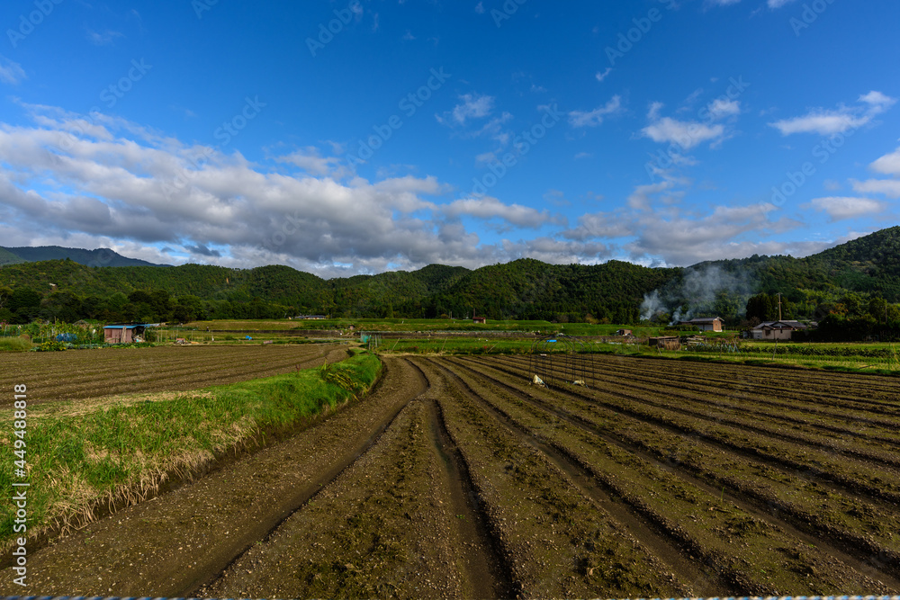 嵯峨野の田園風景 嵯峨野の田園風景