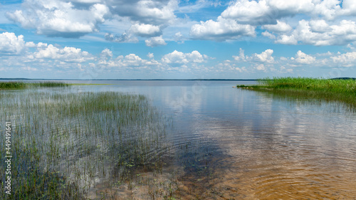 summer landscape with a charming lake, white clouds and blue sky reflect in calm water, clean and clear water, grassy shores, Lake Burtnieki, Latvia