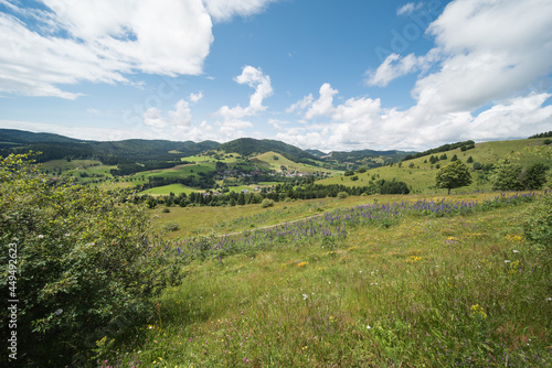 nature landscape in summer in southern germany near bernau in the black forest.