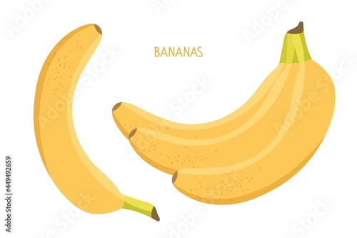 Banana fruit set. One banana and bunch of three bananas isolated on white background. Organic tropical food eco template for menu, recipe, juice label, fruit website, banner. Flat vector illustration
