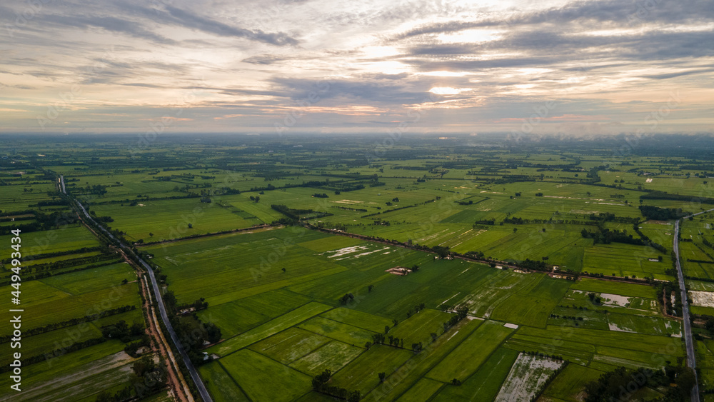 Ariel view  of  rice fields in thailand