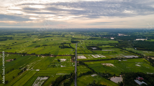 Ariel view of rice fields in thailand