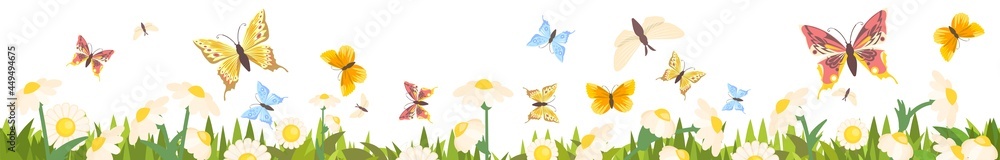 Meadow with wildflowers and butterflies. Seamless illustration. Grass close-up. Green summer landscape. Cartoon style. Flat design. Flowers. Isolated on white background. Vector art