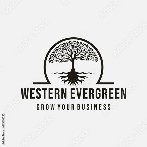 modern tree logo and  omega Seal Emblem Oak Banyan logo design vector