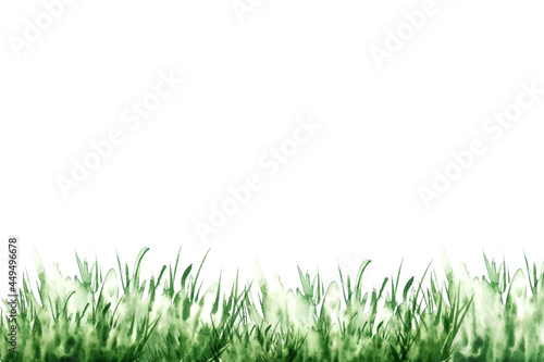 Watercolor illustration of green grass.