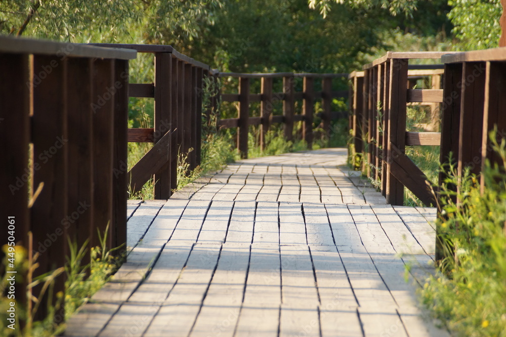 wooden bridge in the park wooden bridge in the park