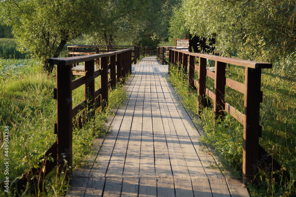 wooden bridge in the park wooden bridge in the park