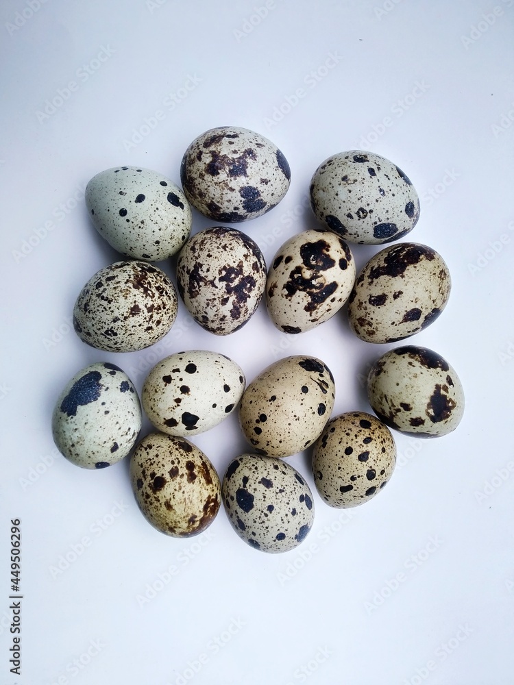 quail birds eggs on white background 