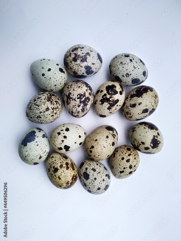 quail birds eggs on white background quail birds eggs on white background