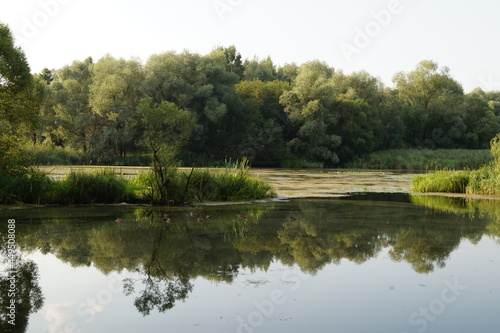 lake in the park