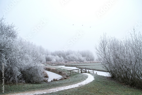 Frost deposit in nature photo