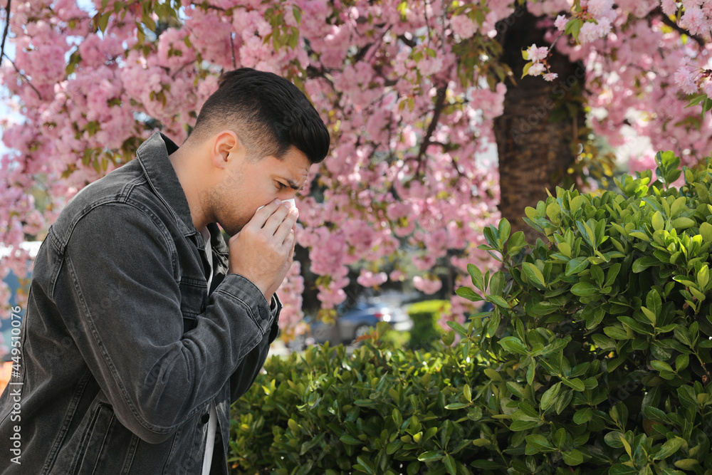 Man suffering from seasonal pollen allergy near blossoming tree outdoors Man suffering from seasonal pollen allergy near blossoming tree outdoors