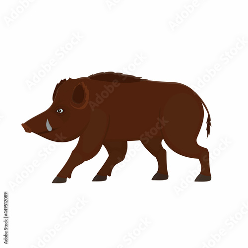 Wild boar. Wild animal boar  vector illustration