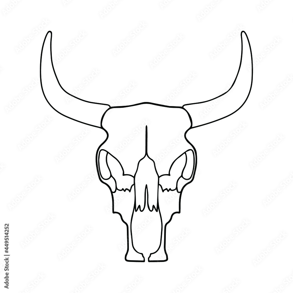 Linear drawing of a bull's skull. Vector illustration of a bull. Skull tattoo sketch, coloring book. Cattle skull. Bull anatomy, bones. Linear drawing of a bull's skull. Vector illustration of a bull. Skull tattoo sketch, coloring book. Cattle skull. Bull anatomy, bones.