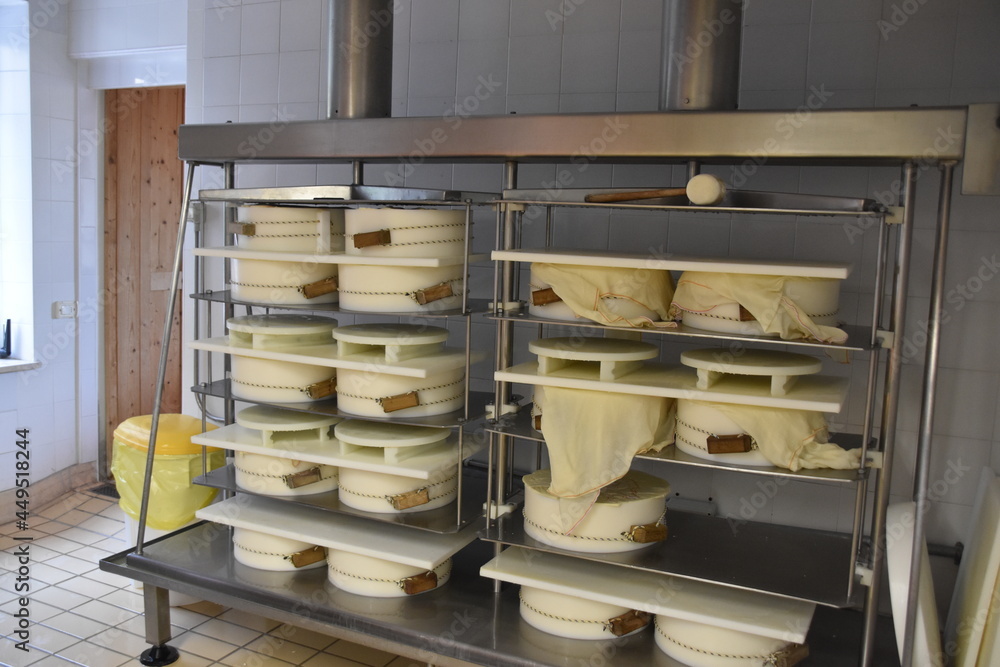 Fototapeta premium ser, mleczarnia, produkcja serwów,