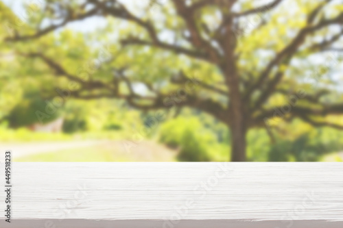 white wood table top on blur tree and green foliage background
