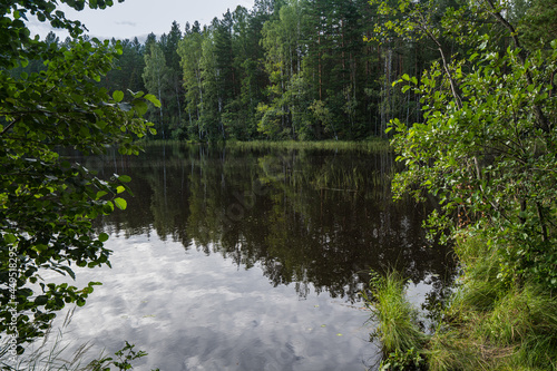 Fototapeta Naklejka Na Ścianę i Meble -  Picturesque landscape of a beautiful lake