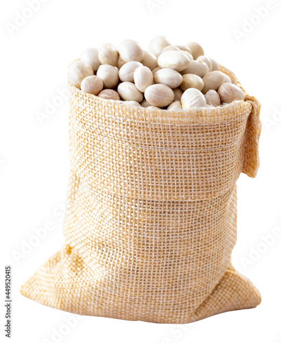 White Haricot bean grains are in the sack. White Haricot bean grains isolated on white background. Local name ispir fasulyesi photo