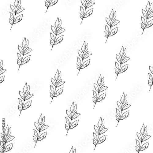 Simple doodle illustrations wallpaper flowers, Plants, leaves. Black and white square pattern. Minimalistic background with Plants