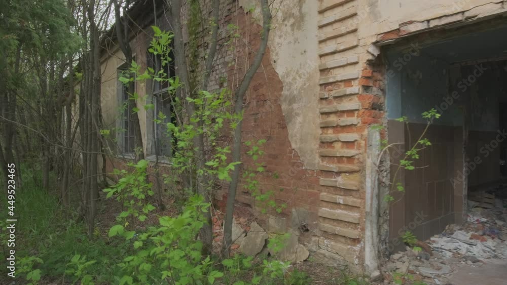 Outside view of abandoned building with broken windows and entrance to thicket of trees. Outside view of abandoned building with broken windows and entrance to thicket of trees.