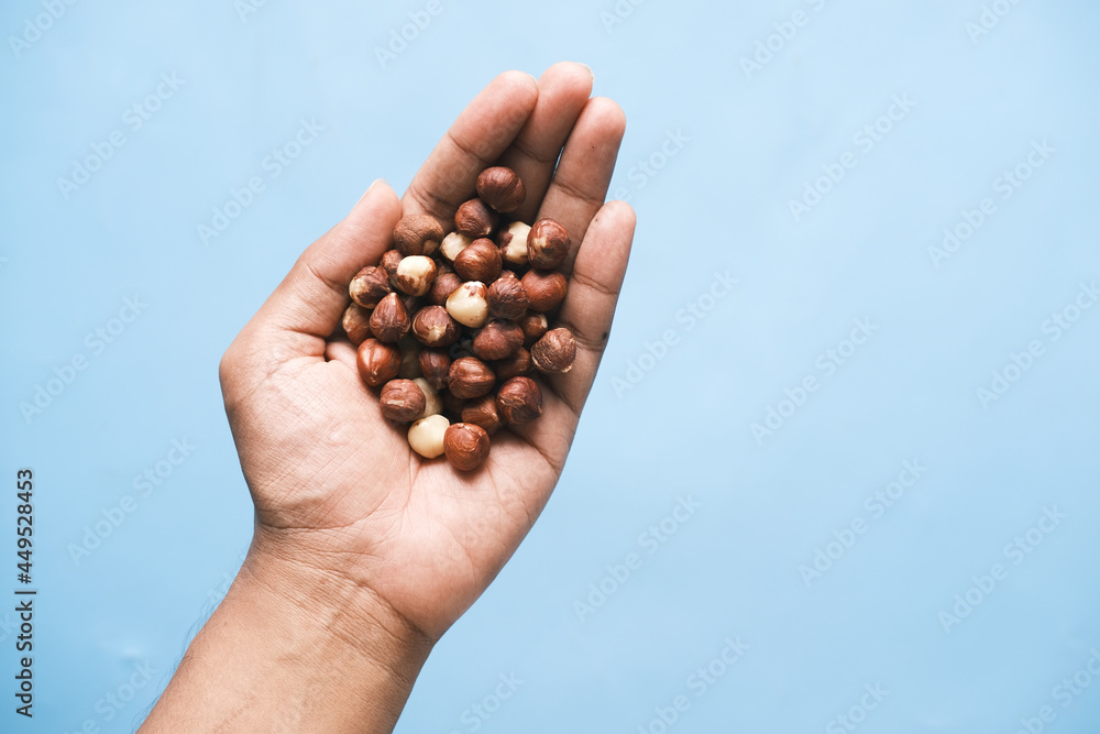 hazelnuts on palm of hand on blue background hazelnuts on palm of hand on blue background