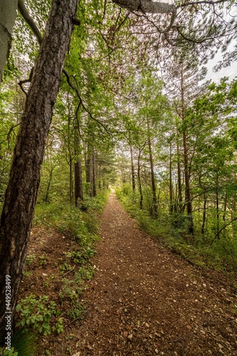 footpath in the woods © coffeinlix 