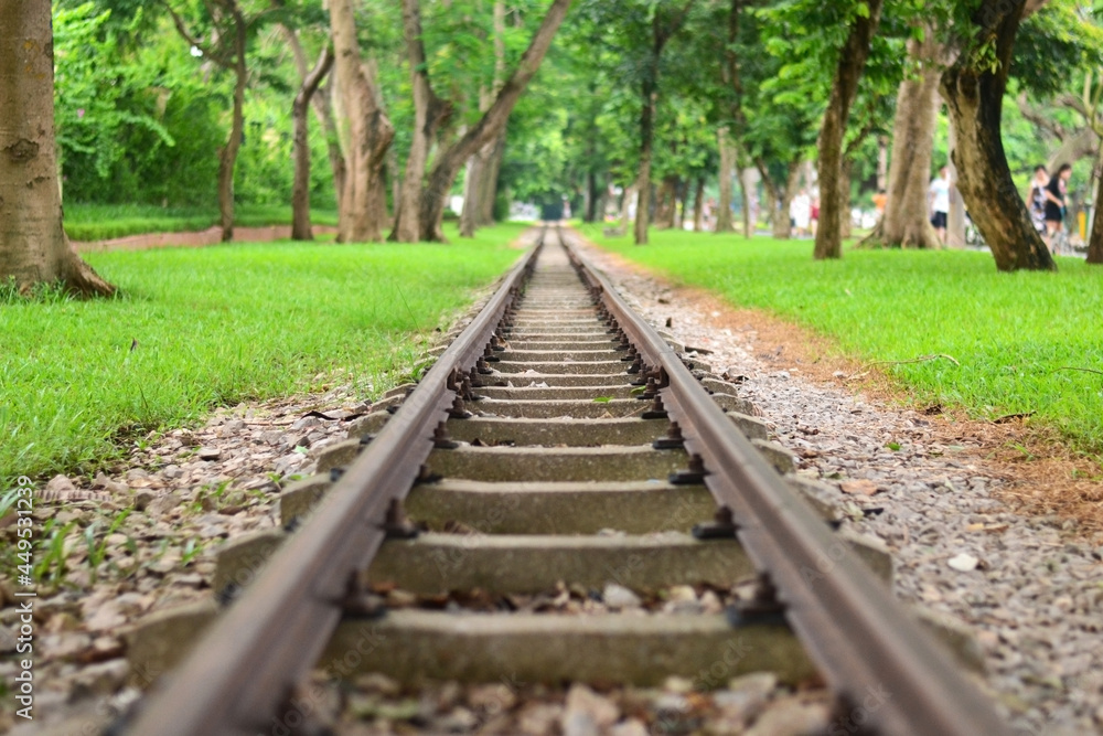 Narrow-gauge railway in a park among trees, near lawns and an alley Narrow-gauge railway in a park among trees, near lawns and an alley
