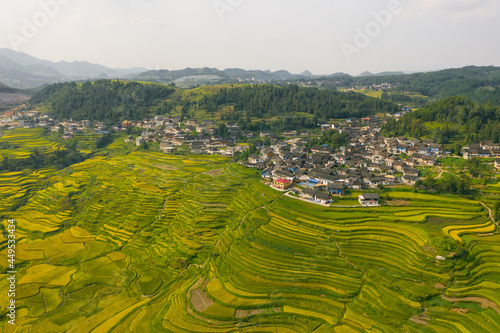 The main grain producing area of Guangdong Province in southern China. Beautiful natural landscape of rice fields.