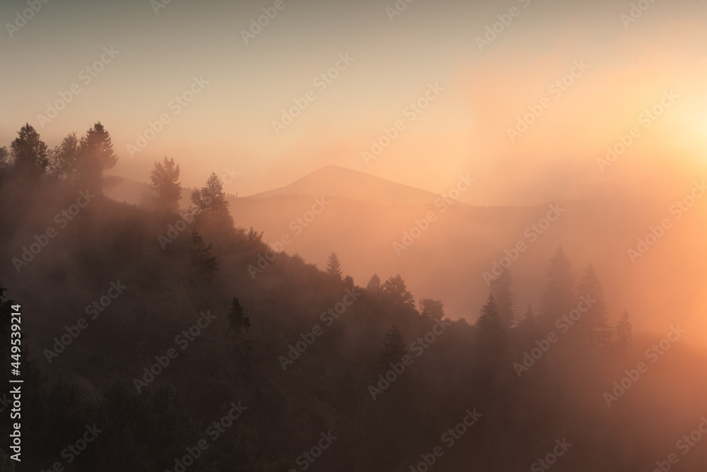 Mountain valley covered with majestic morning fog Mountain valley covered with majestic morning fog