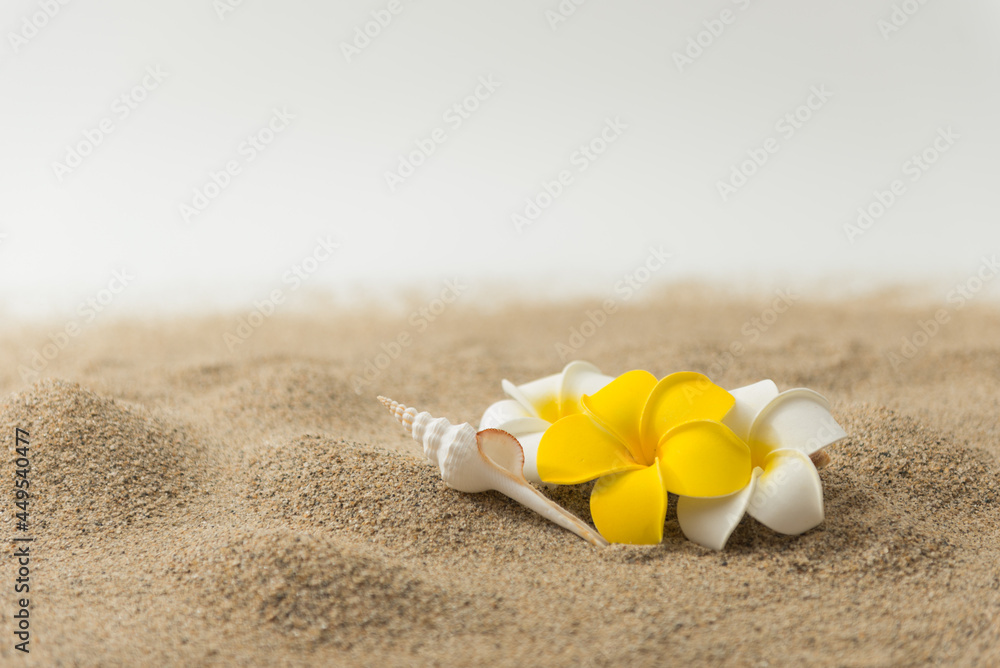 砂浜とプルメリアの花 砂浜とプルメリアの花