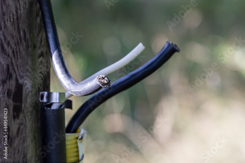 Fotografie Electrical cable cut by a pole outside