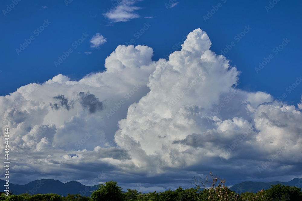入道雲 入道雲