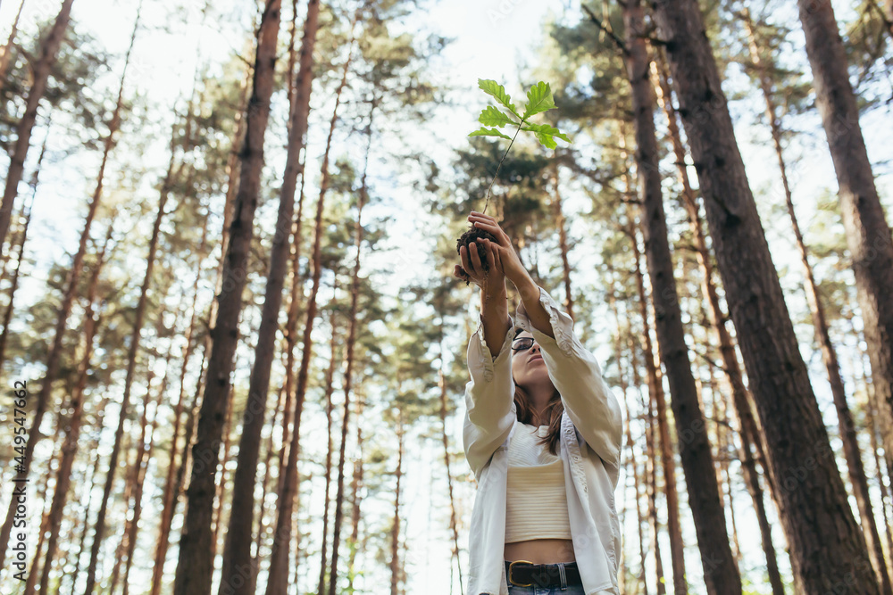 Young female volunteer plants a forest, holding an oak tree seedling in her hands Young female volunteer plants a forest, holding an oak tree seedling in her hands