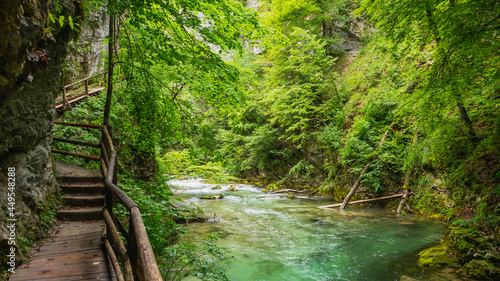 Vintgar gorge  Slovenia. River near the Bled lake with wooden tourist paths  bridges above river and waterfalls. Hiking in the Triglav national park. Fresh nature  blue water in the forest.